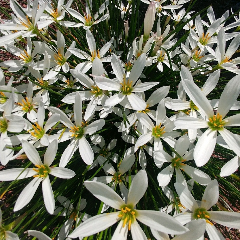 Meet your Posher, Stefani